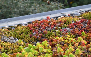 the cost of Buttsole green roof installation