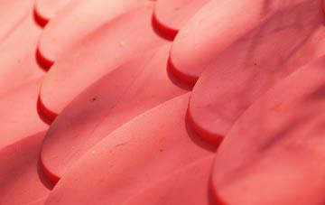 Buttsole plastic roof costs